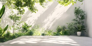 阳光照耀下的清新绿植庭院