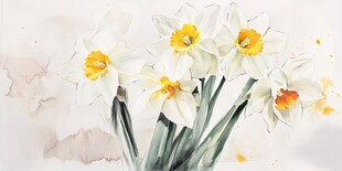 水墨风水仙花清新画作