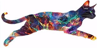 彩色梦幻猫咪的动感姿态