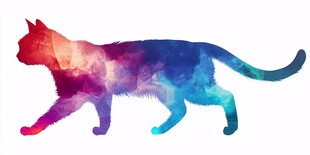 彩色水彩风格猫咪剪影