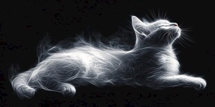 梦幻烟雾猫 静谧之美