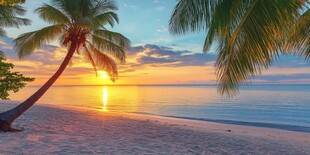 夕阳下的椰林海滩美景