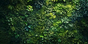 绿意盎然的植物墙景观