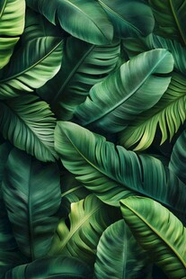 热带风情绿叶背景图案