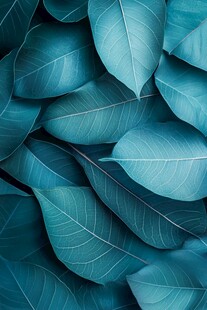 蓝绿色叶片纹理特写