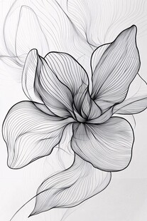 线条勾勒的优雅花朵