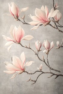 优雅玉兰花枝绽放画面