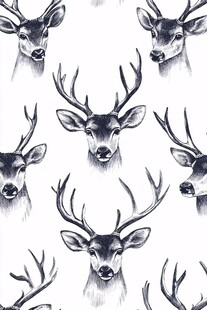 鹿头图案 优雅动物插画艺术