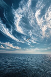 海天一色间飞鸟翱翔