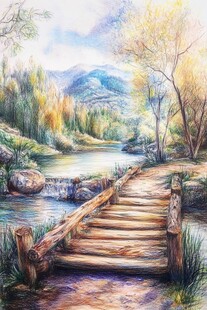 林间木桥旁的溪边美景