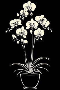 黑白兰花盆栽插画