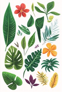 热带植物花卉素材图