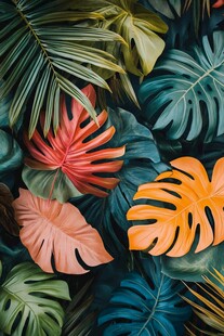 热带多彩植物叶片特写
