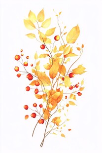 秋日黄叶红果插画