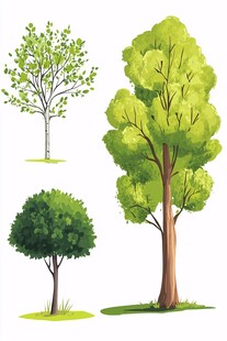 三种形态各异的绿色树木