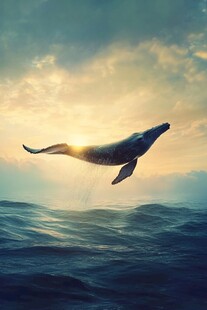 梦幻鲸鱼跃出海面