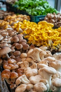 多彩蘑菇陈列 尽显新鲜生机