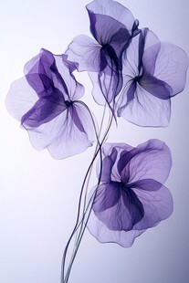 梦幻紫色花朵艺术摄影图