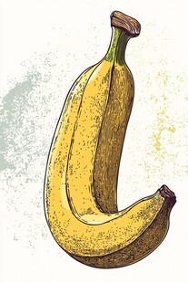 手绘双香蕉插画