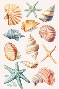 多彩贝壳与海星插画