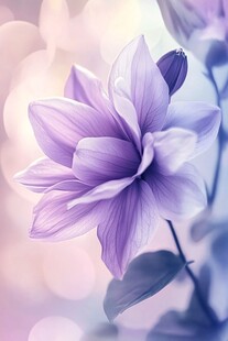 梦幻紫色花卉特写