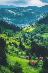 山间绿野中的红顶村落