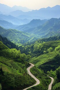 山间蜿蜒公路 绿意盎然