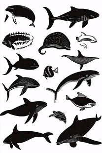 海洋生物剪影集合