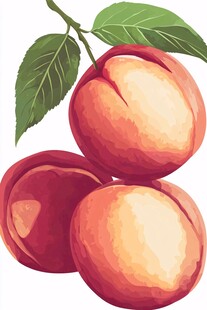 鲜美的三颗桃子插画