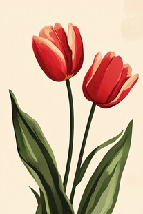 两朵娇艳红色郁金香插画