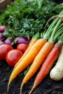 新鲜多彩蔬菜组合