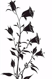 黑色花卉植物轮廓图案