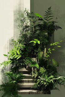 绿植环绕的梦幻楼梯空间