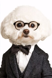 时尚绅士风的可爱狗狗