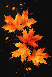 飘落的绚烂枫叶