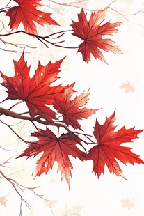 秋意红枫叶枝插画