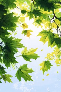 夏日绿叶蓝天清新景象