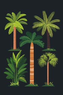 多样热带棕榈植物插画