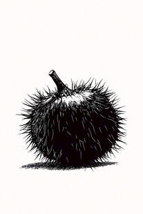 黑白色调下的带刺果实