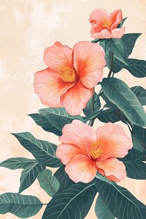 粉色木槿花插画