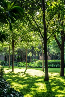 阳光洒落的静谧林间绿地