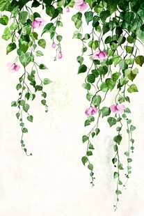 垂挂的粉花绿叶藤蔓