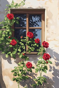 窗边红玫瑰的浪漫景致