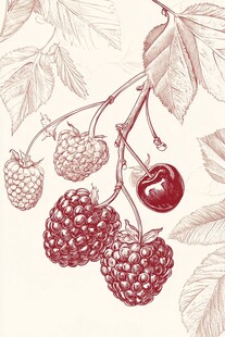 手绘枝头浆果与樱桃