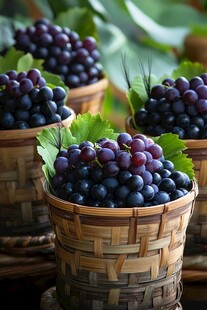 竹篮中饱满的紫葡萄