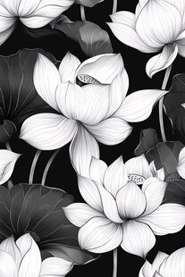 黑白荷花图案