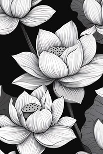 黑白手绘莲花图案背景