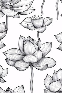 黑白手绘莲花图案背景