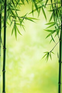 翠绿修竹 清新自然之景