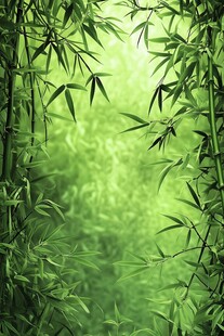 翠绿竹林 清新自然之景